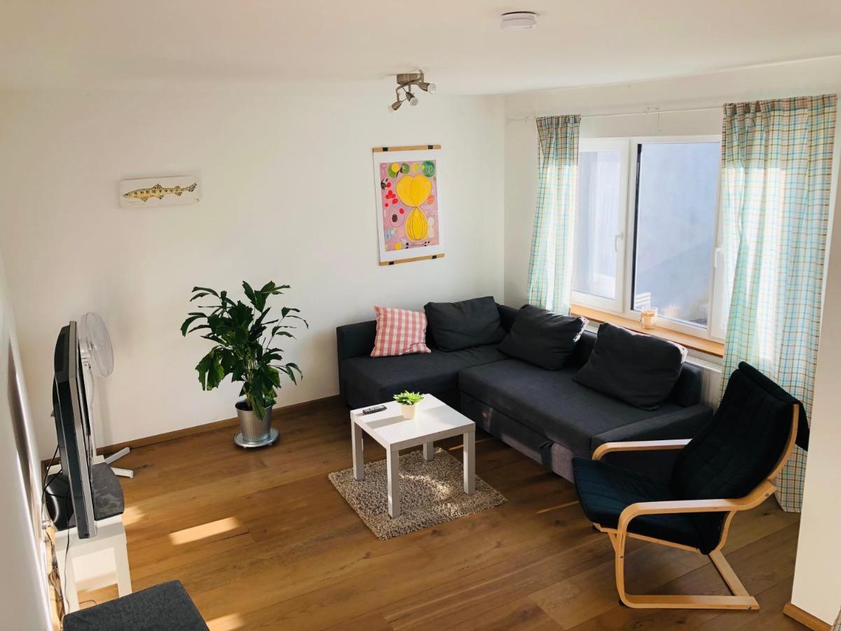 فيلا Ferienhaus Jehle فريدريشسهافن المظهر الخارجي الصورة